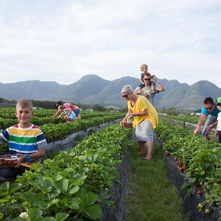 Вилла Redberry Farm Джордж Экстерьер фото