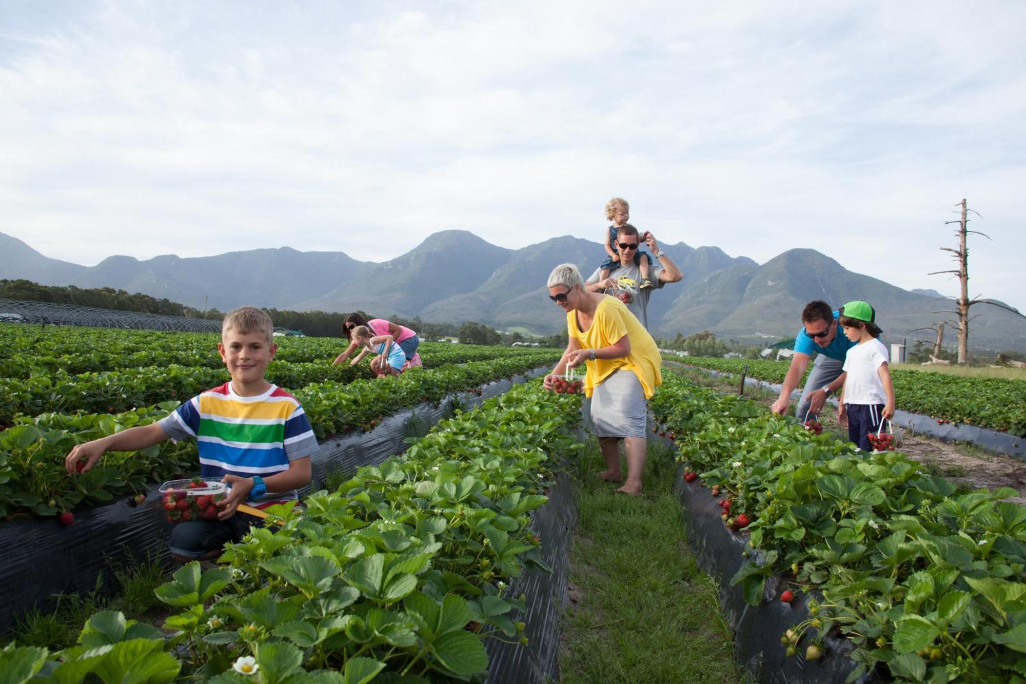 Вилла Redberry Farm Джордж Экстерьер фото