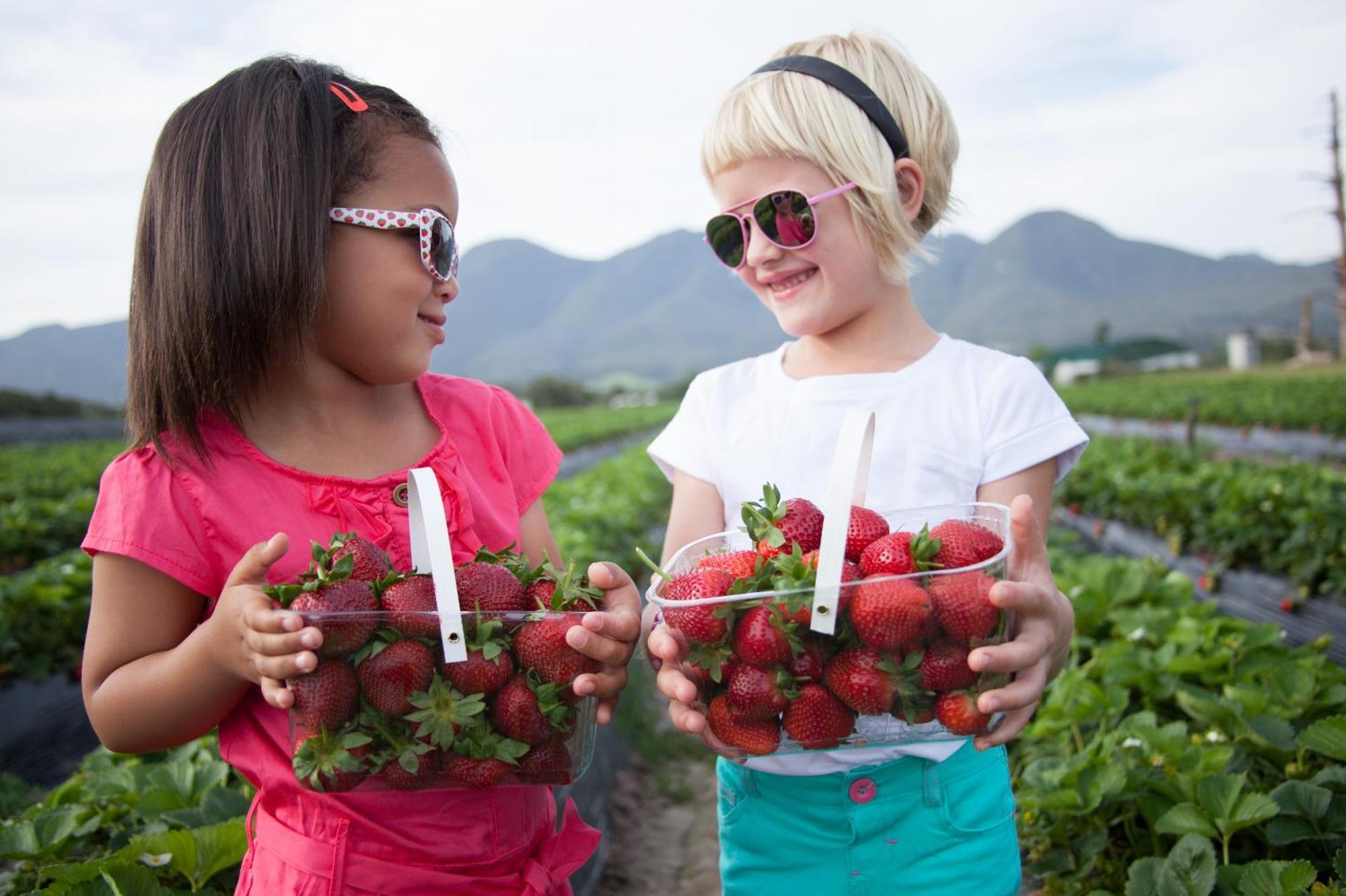 Вилла Redberry Farm Джордж Экстерьер фото